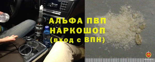 гидра Аркадак