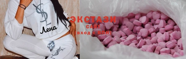 индика Надым