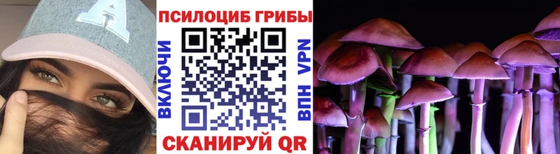 Псилоцибиновые грибы мицелий  купить наркотик  Окуловка 
